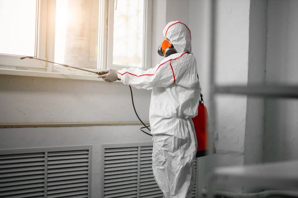 Professional mold remediation services in Hawk Point, MO